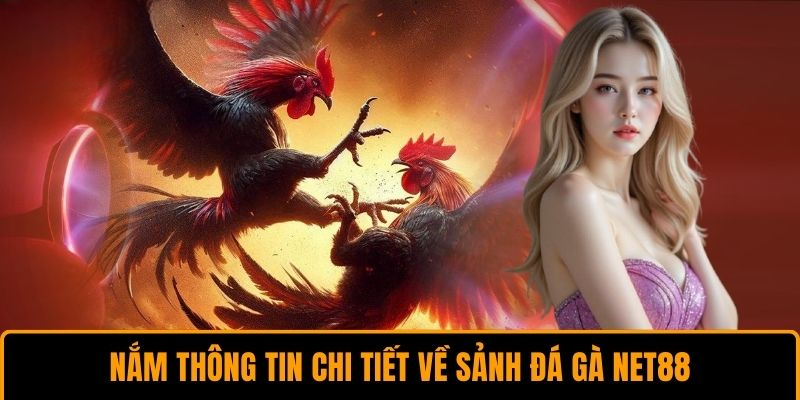 Đá gà Net88 – Trải Nghiệm Cá Cược Trực Tuyến Đỉnh Cao